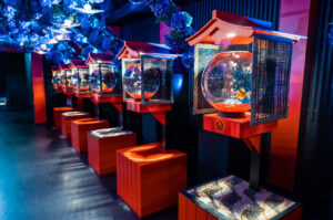 Art Aquarium Museum GINZA: A Unique Underwater Artistry