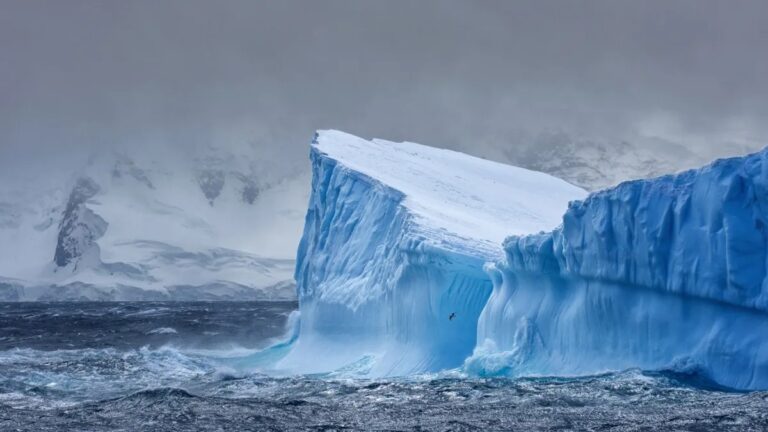The Frozen Odyssey: Iceberg A23a Epic Journey Across the Southern Ocean
