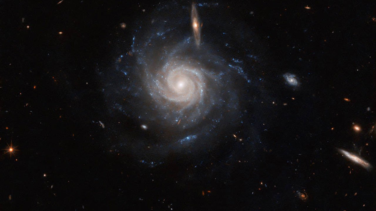 Wikimess is your magazine for Science, History, Technology, Mysteries and World Stories.