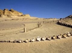 Whales that walked the Desert