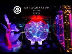Art Aquarium Museum GINZA: A Unique Underwater Artistry