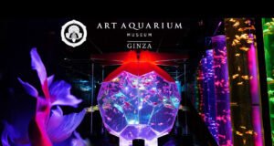 Art Aquarium Museum GINZA: A Unique Underwater Artistry