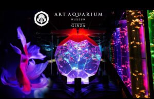 Art Aquarium Museum GINZA: A Unique Underwater Artistry